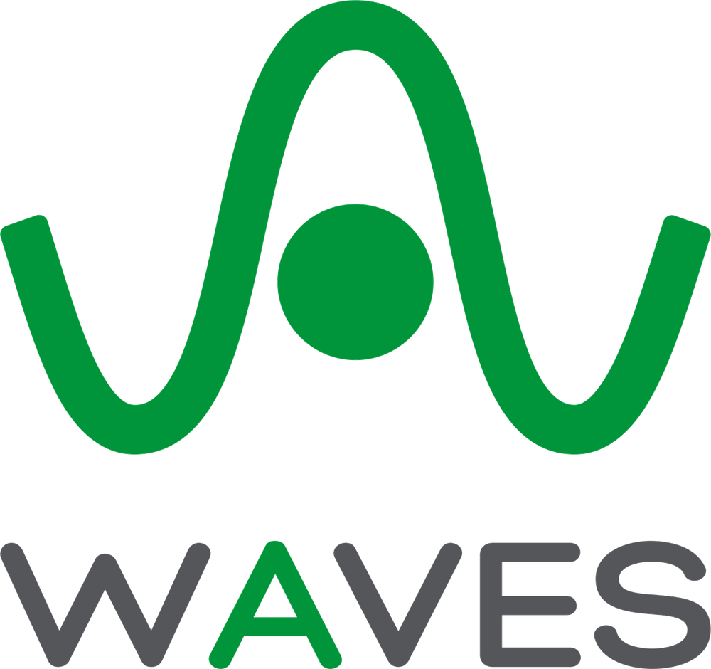 Waves Engineering